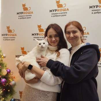 Муизон 