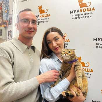 Муизза 