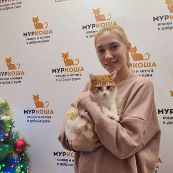 Мурилио 