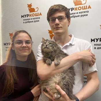 Наполеон 