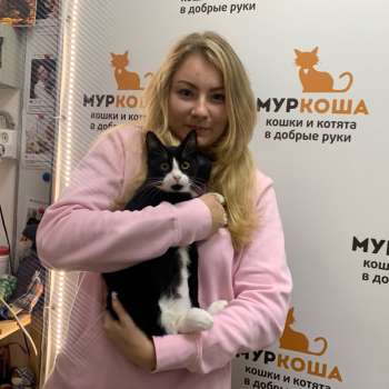 Найтик 