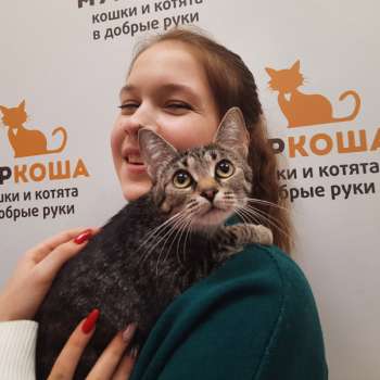 Незуко 