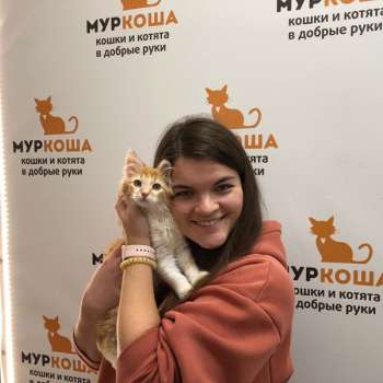 Нишико 