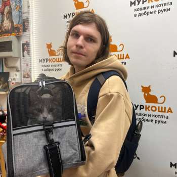 Ниточка 
