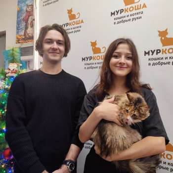Оливка