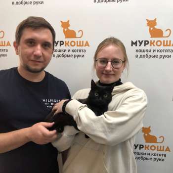 Павлинка 