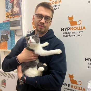 Пикачу 