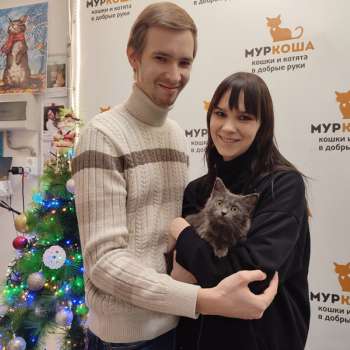 Пинч 