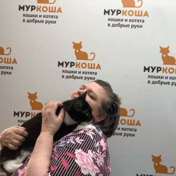 Пинкотик 