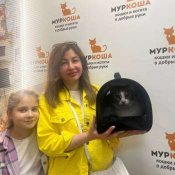 Пиноккио