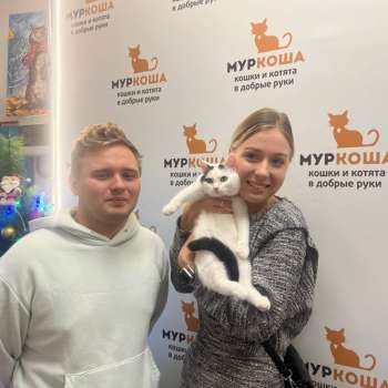 Покер 