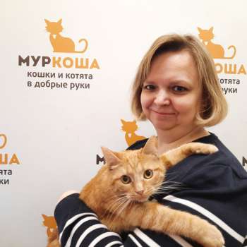 Примула 