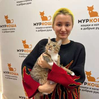 Рикена 