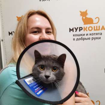 Рикс 