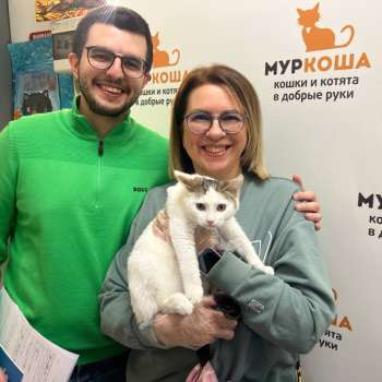 Рислинг 