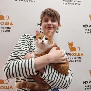 Сампа 