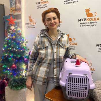 Санжел 