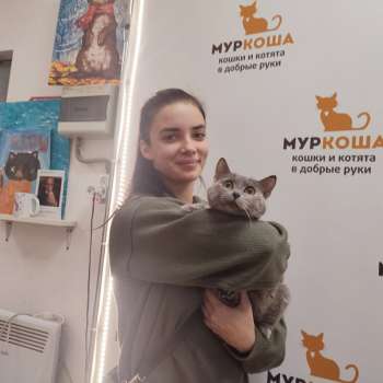 Сфирка 