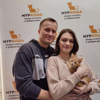 Шампань 