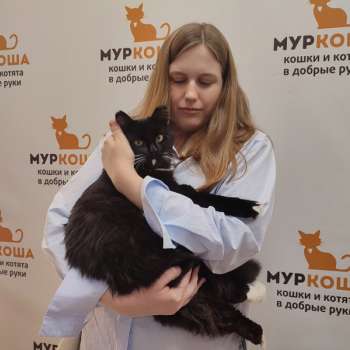 Шамус