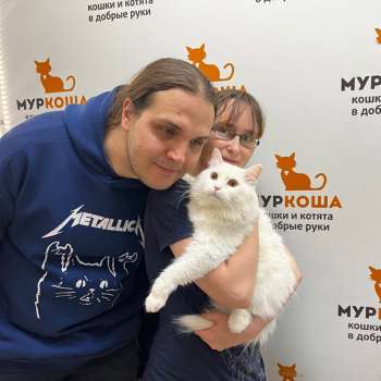 Шардоне 