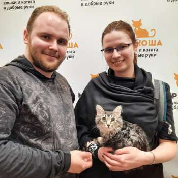 Шпаклёвка 