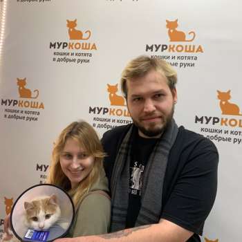 Шутик 