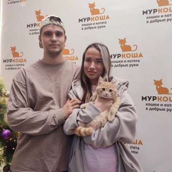 Слэй 