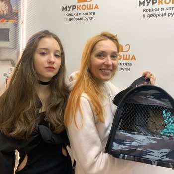 Солар 