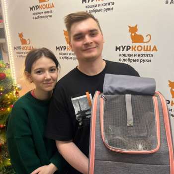 Такэ 