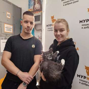 Тамарис 