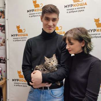 Теофила 