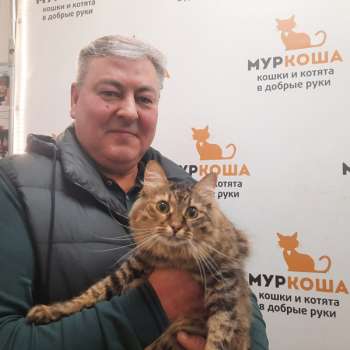 Тиккурила 