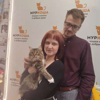 Толмия