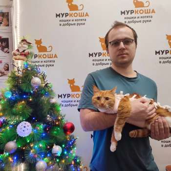 Тровата 
