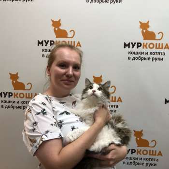 Вельветина 