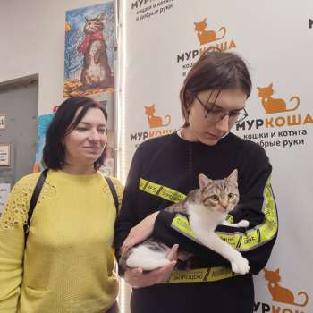 Виноградик 