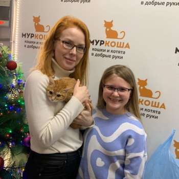 Янтарина 