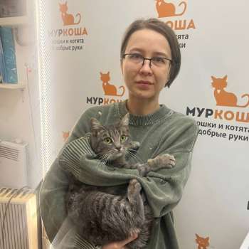 Ярви 