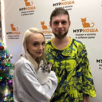 Яснотка 