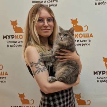 Юлани 