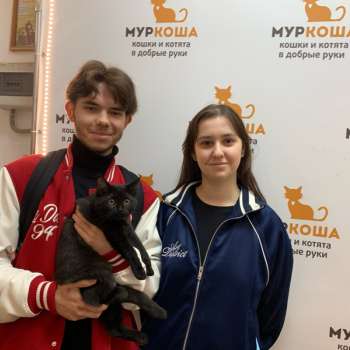 Аджика