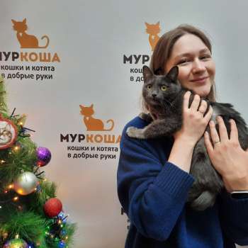Агафья