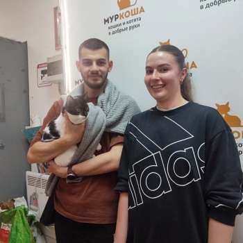 Акапелла
