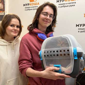 Анданте 