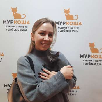 Бибика