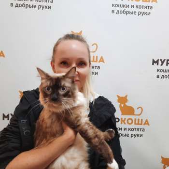Блогер