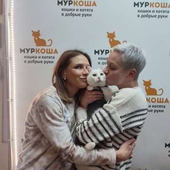 Бри