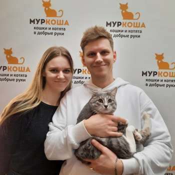 Бригадир 