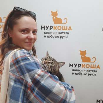 Бруни 